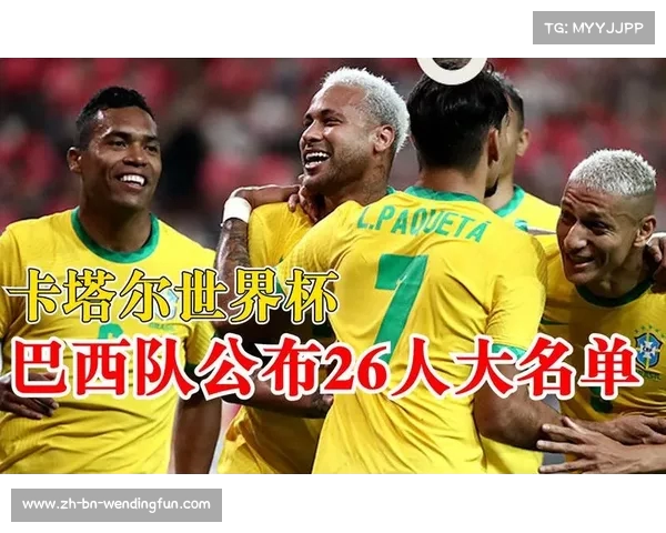 回顾巴西2014年世界杯阵容深度解析球队球员名单与表现 回顾巴西2014年世界杯阵容深度解析球队球员名单与表现